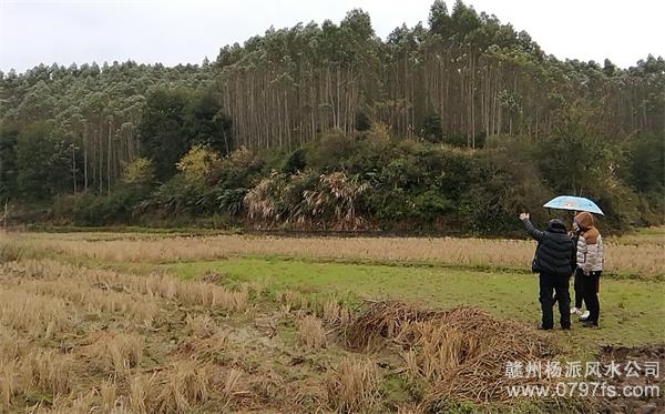 三亚市陈老师带着爱徒寻龙点穴